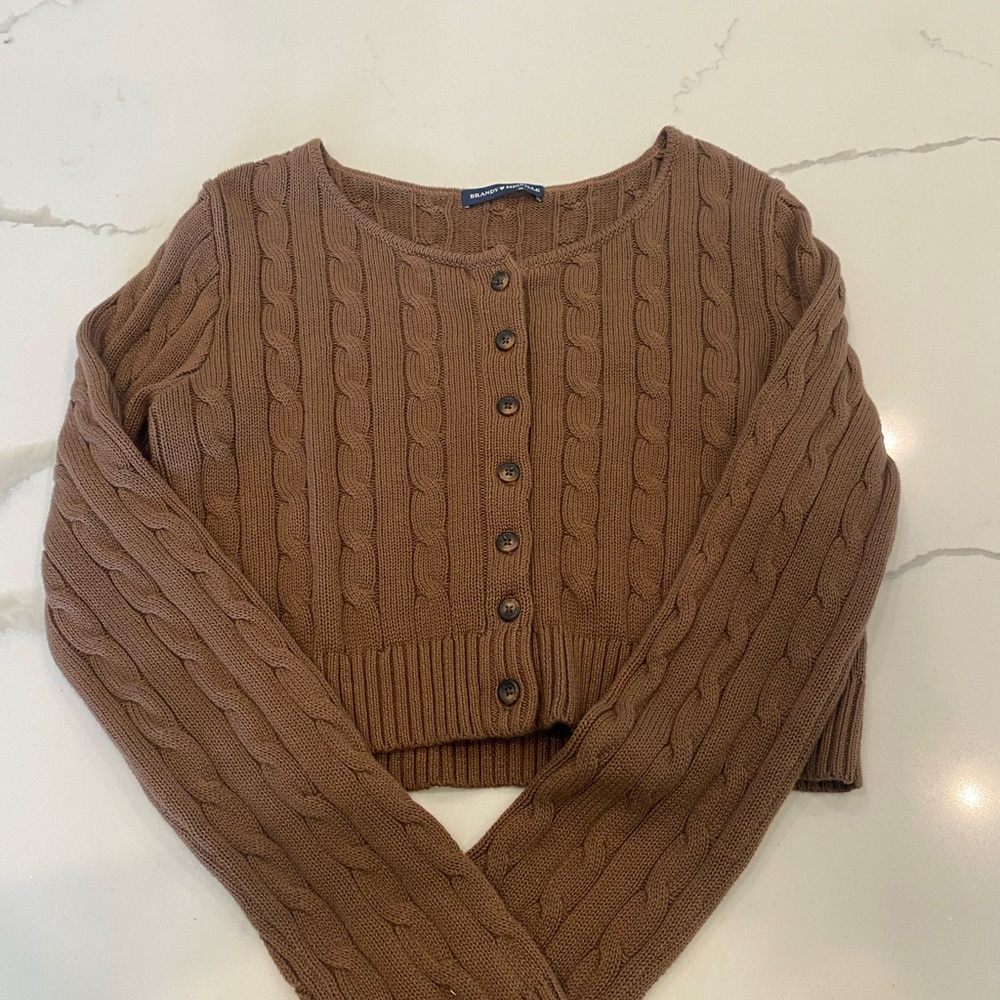 Brandy Melville brown long sleeve cropped shirt one size